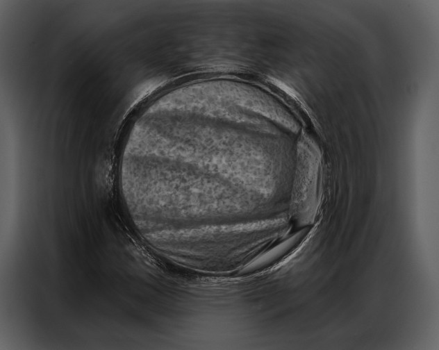 X0000087001163200705071500