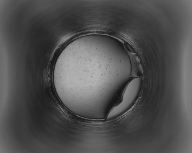 X0000087001164200705071500