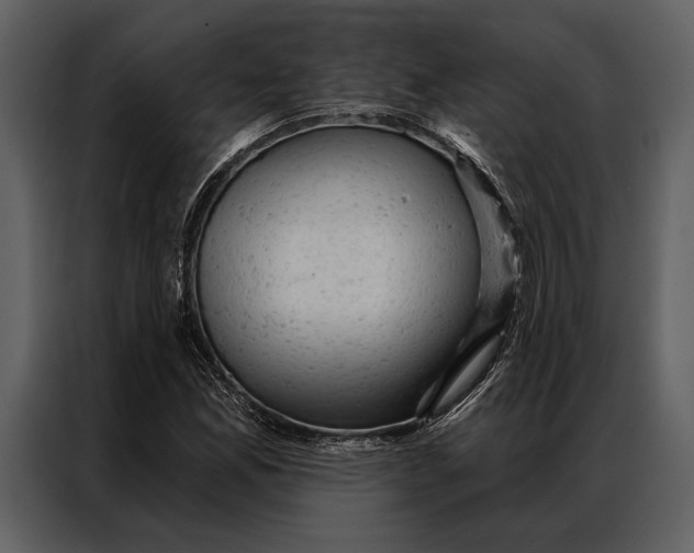 X0000087001165200705071500