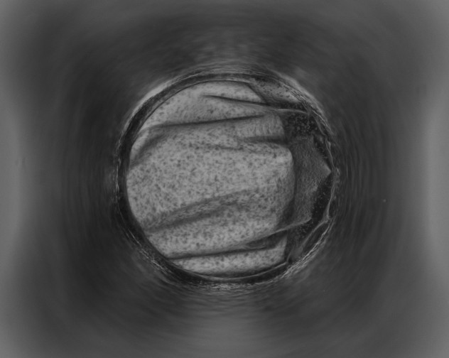 X0000087001166200705071500