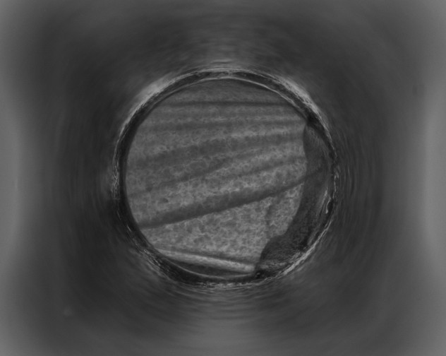 X0000087001167200705071500