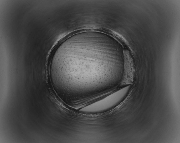 X0000087001168200705071500