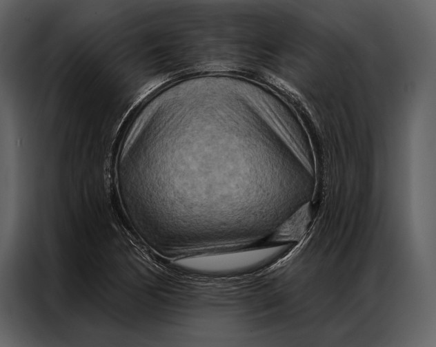 X0000087001170200705071500