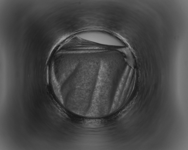 X0000087001171200705071500