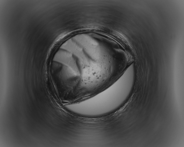 X0000087001172200705071500