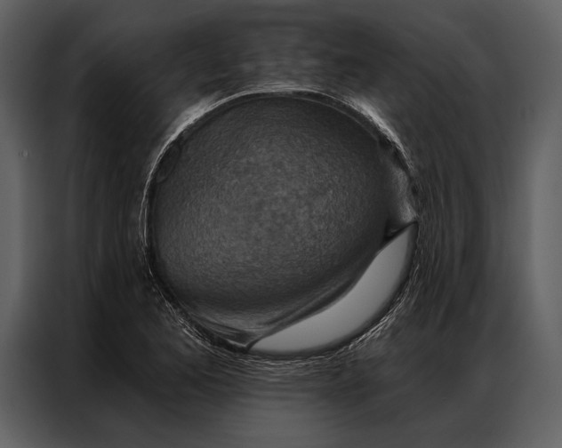 X0000087001173200705071500