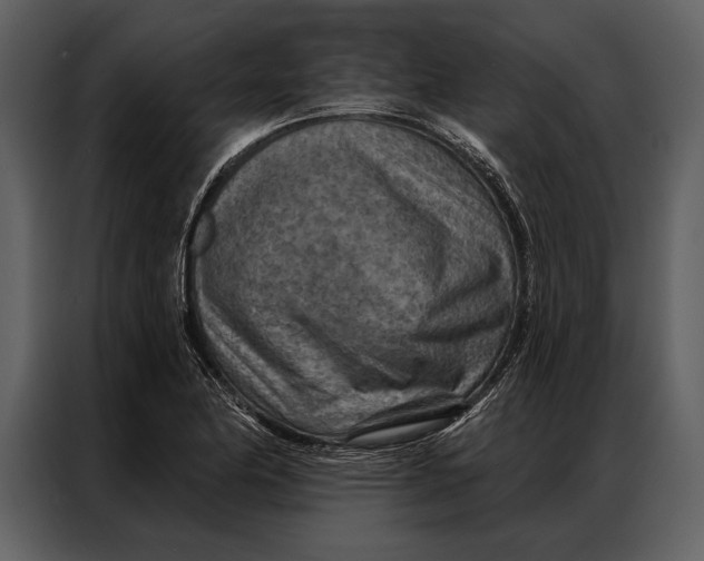 X0000087001174200705071500