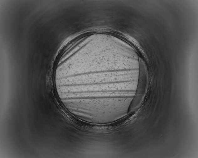 X0000087001176200705071500