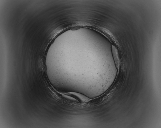 X0000087001177200705071500