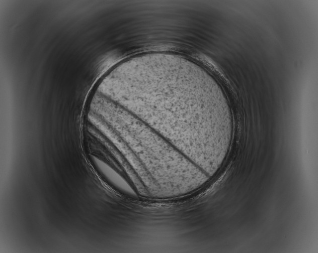 X0000087001178200705071500