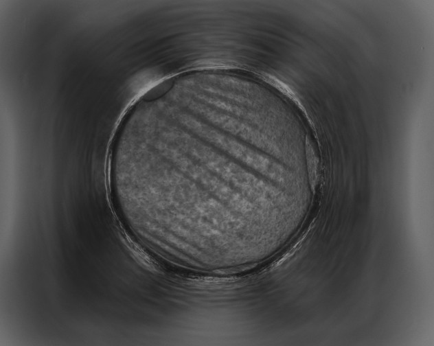 X0000087001179200705071500