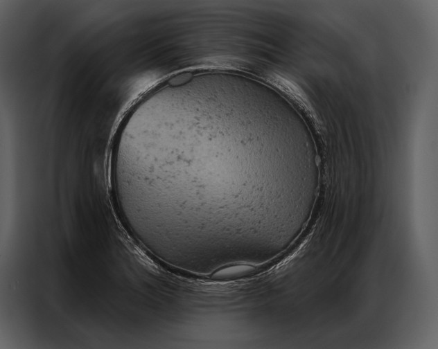 X0000087001180200705071500