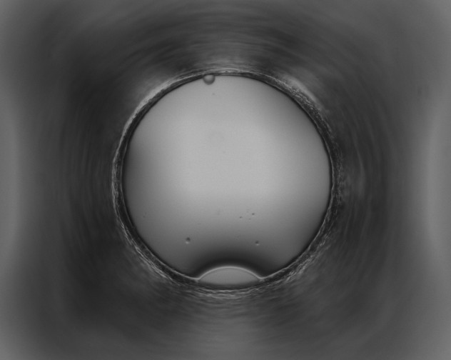 X0000087001182200705071500