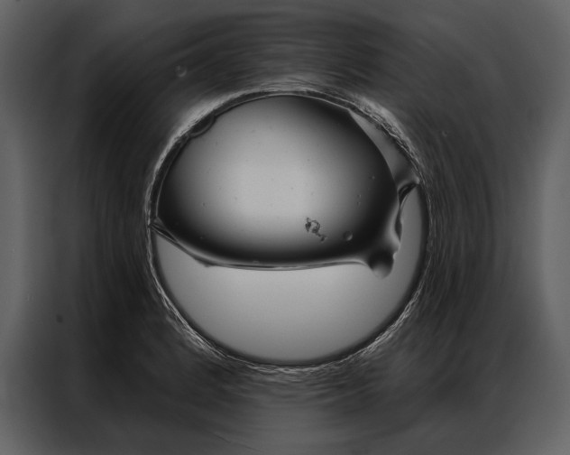 X0000087001184200705071500