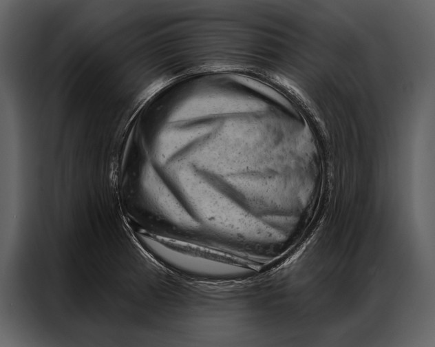 X0000087001185200705071500