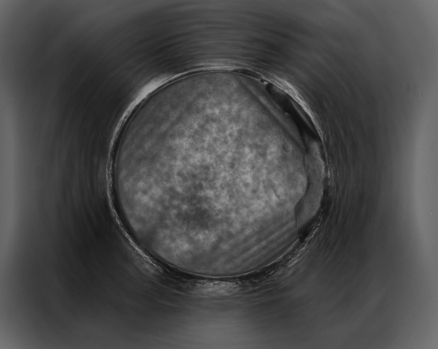 X0000087001187200705071500