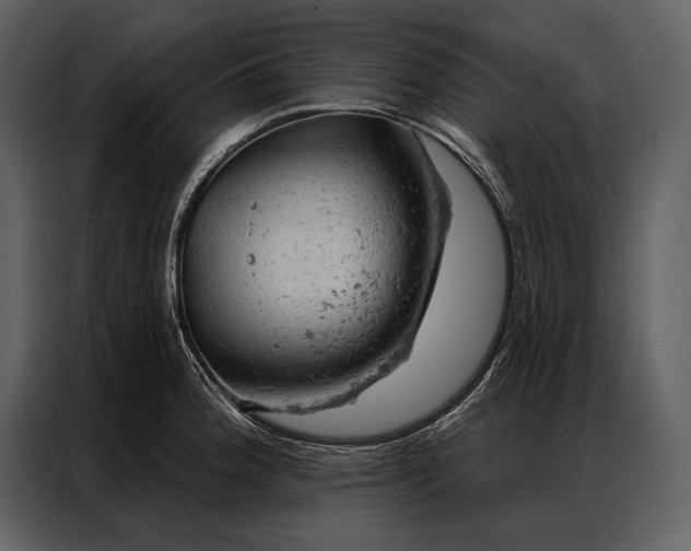 X0000087001188200705071500