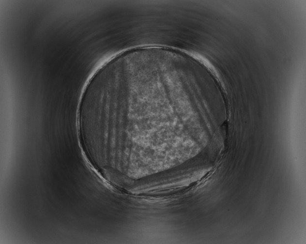 X0000087001191200705071500