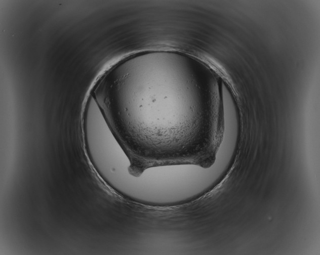 X0000087001192200705071500