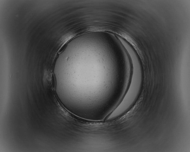 X0000087001193200705071500