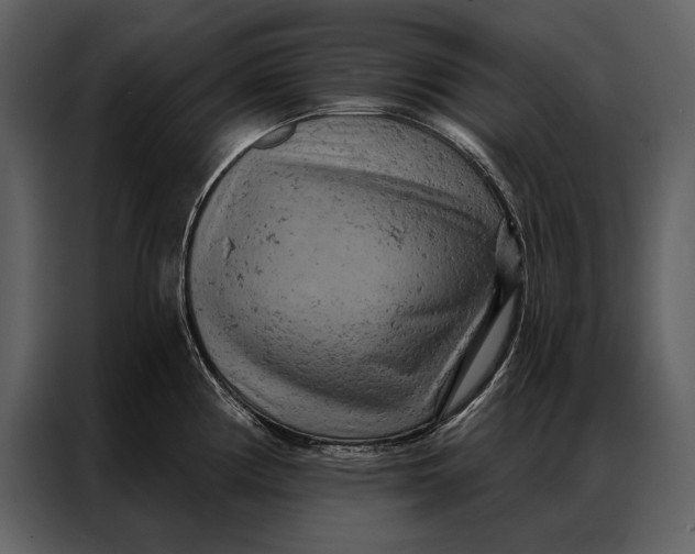 X0000087001194200705071500