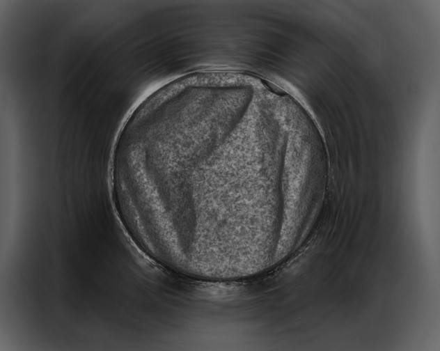 X0000087001195200705071500