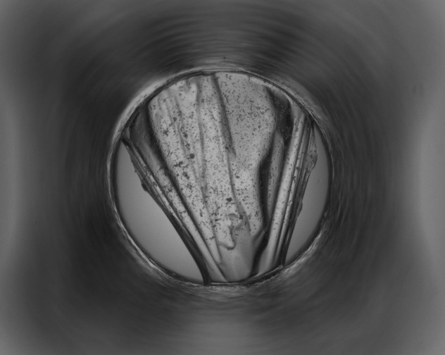 X0000087001196200705071500