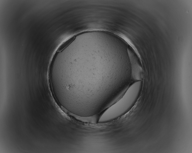 X0000087001197200705071500