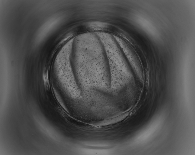 X0000087001198200705071500