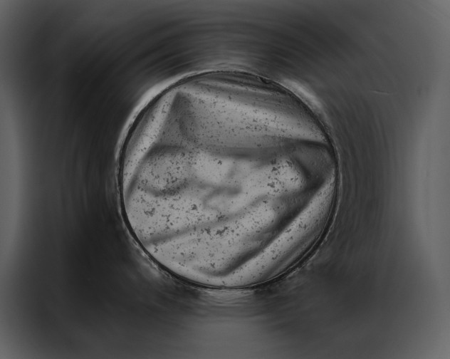 X0000087001200200705071500