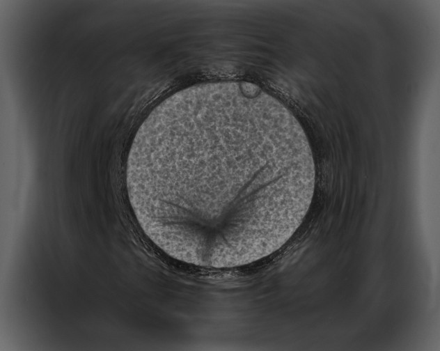 X0000087001201200705071459