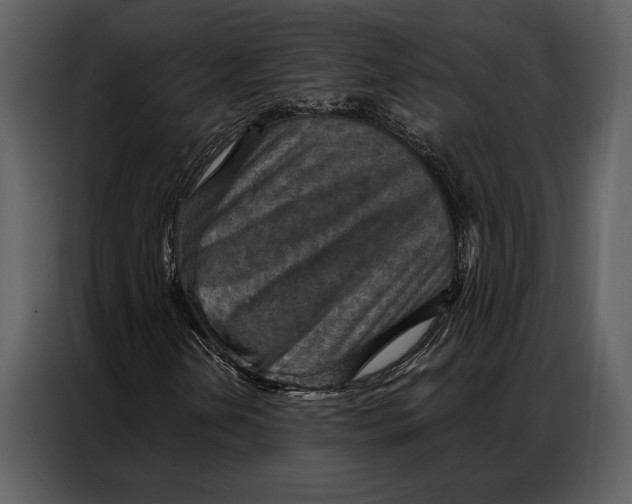 X0000087001202200705071459