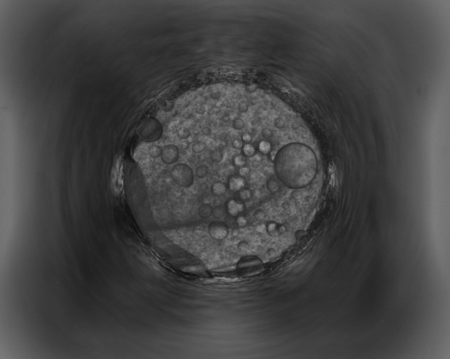 X0000087001203200705071459