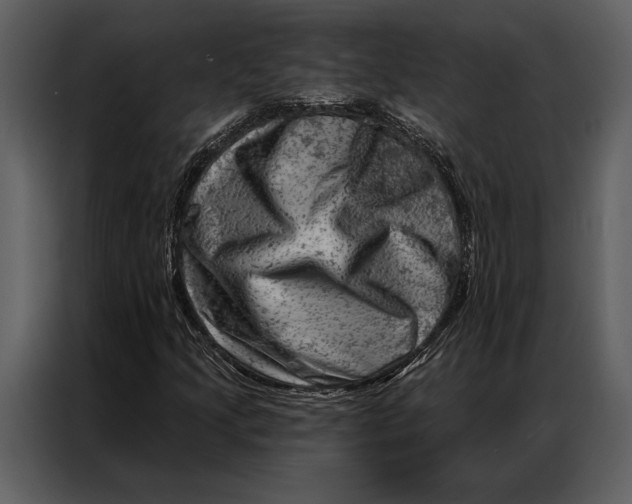 X0000087001205200705071459