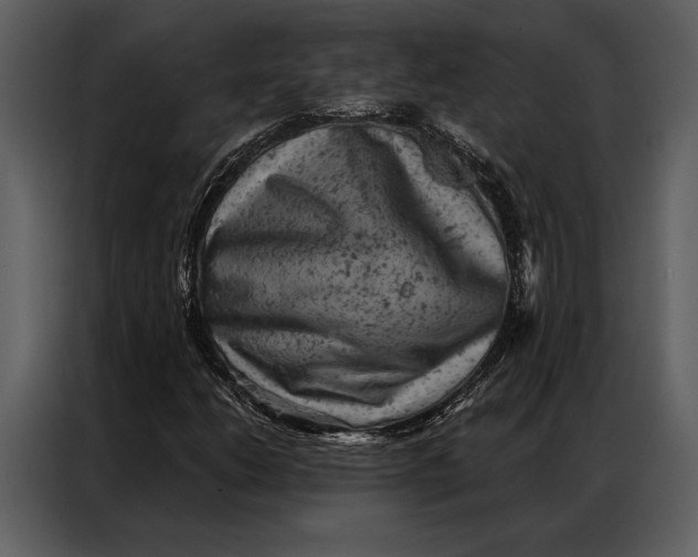 X0000087001206200705071459