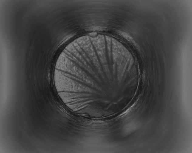 X0000087001209200705071459