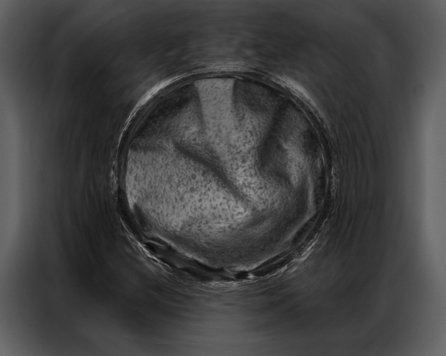 X0000087001212200705071459