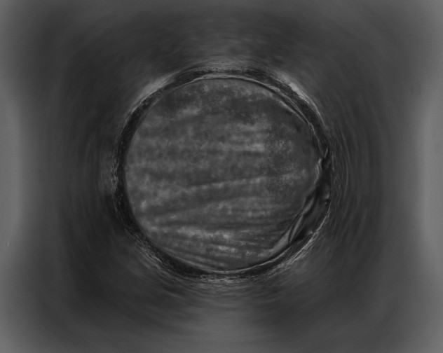 X0000087001213200705071459