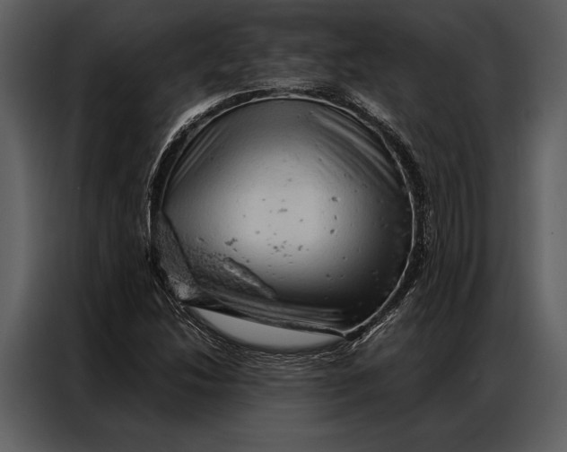 X0000087001214200705071459