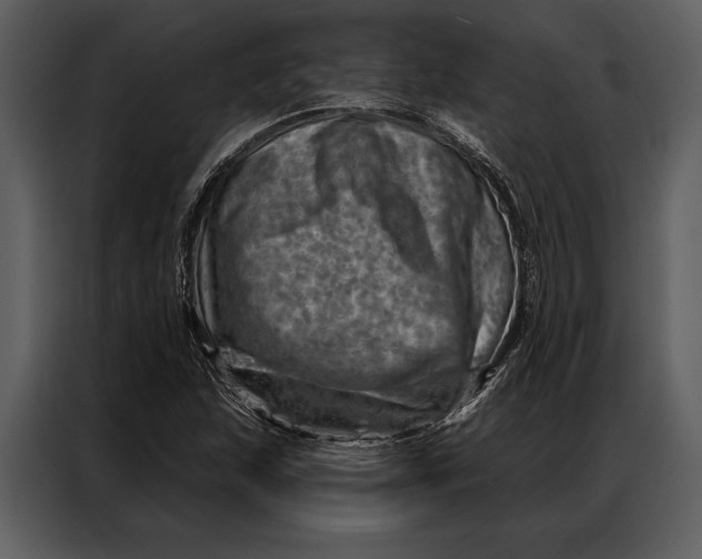 X0000087001215200705071459