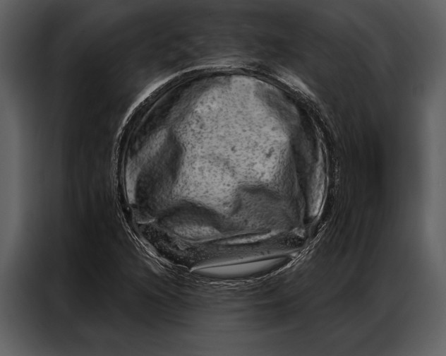 X0000087001216200705071459