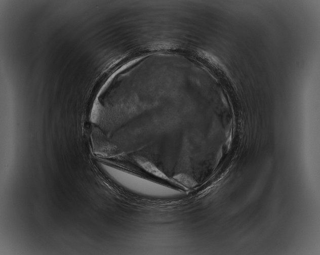 X0000087001217200705071459