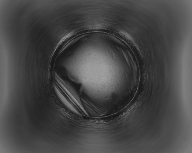 X0000087001218200705071459