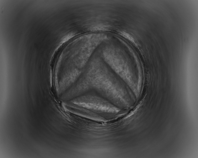 X0000087001219200705071459