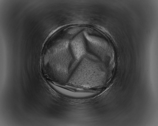 X0000087001220200705071459