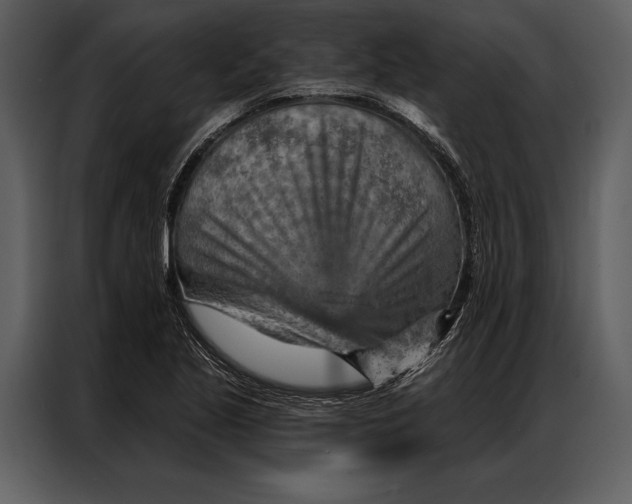 X0000087001221200705071459