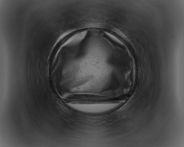 X0000087001222200705071459