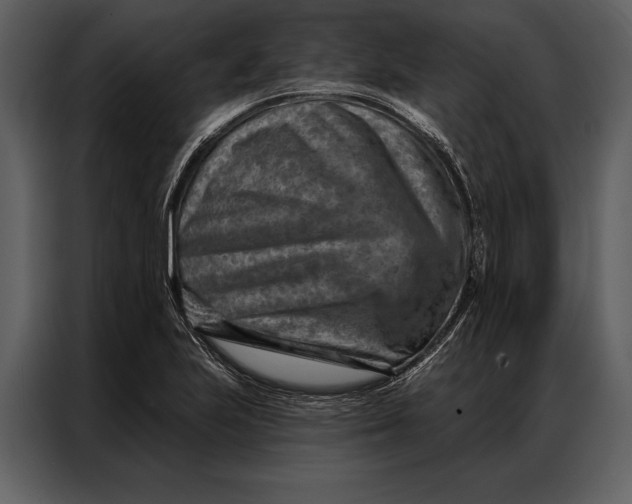 X0000087001223200705071459