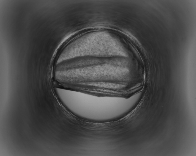 X0000087001224200705071459