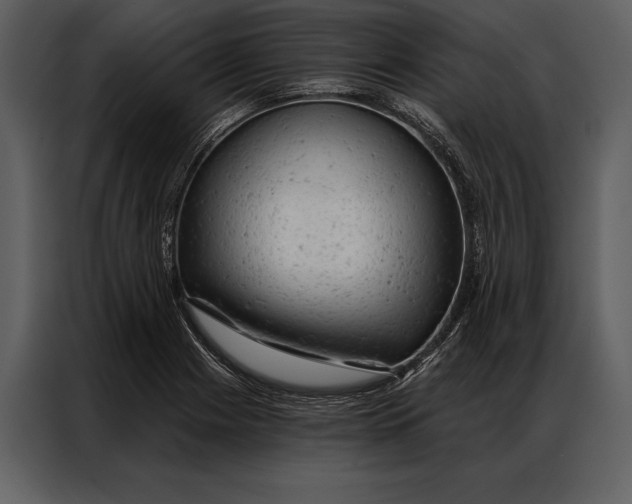 X0000087001225200705071459